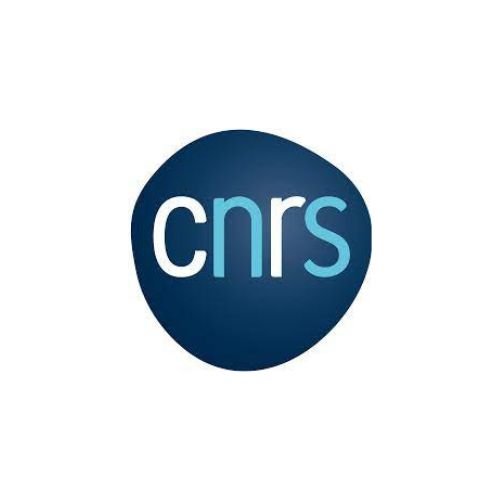 Logo CNRS